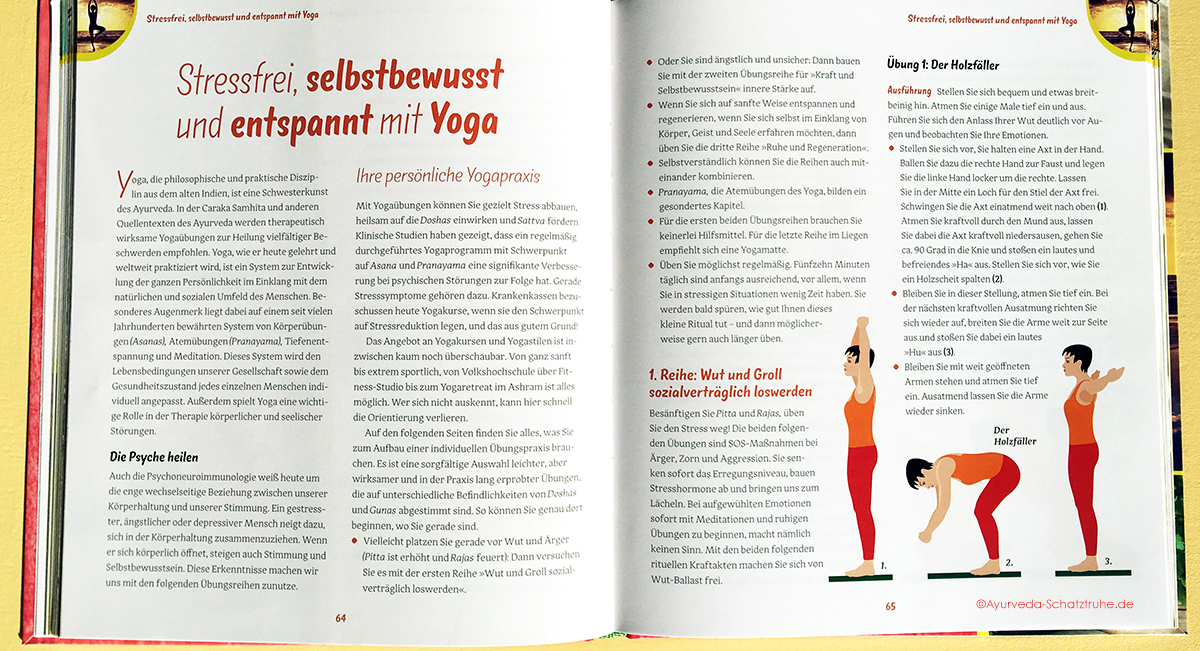 buch ayurveda gegen stress holzfäller yogauebung